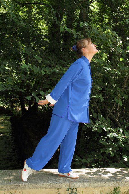 cours 1 trimestre taïchi qi gong 